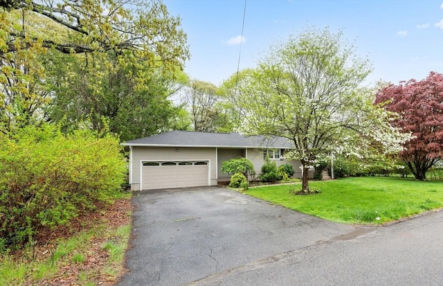 6 Birch Ln, Shrewsbury, MA 01545 - ranch-style home with an attached garage, driveway, and a front yard