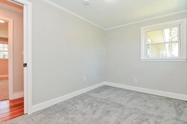 6 Birch Ln, Shrewsbury, MA 01545 - carpeted empty room featuring ornamental molding, baseboards, and a smoke detector