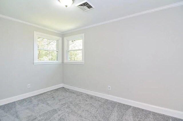 6 Birch Ln, Shrewsbury, MA 01545 - carpeted spare room featuring crown molding and baseboards