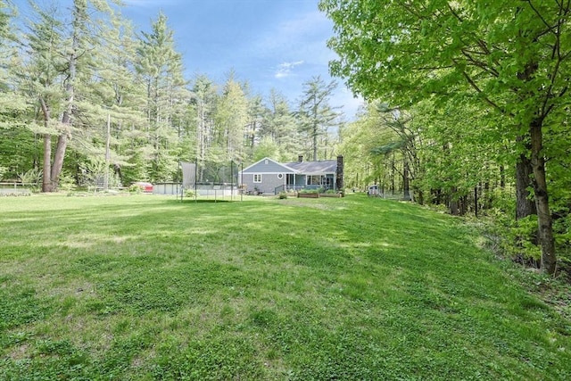 252 Howe St, East Brookfield, MA 01515 - view of grassy yard