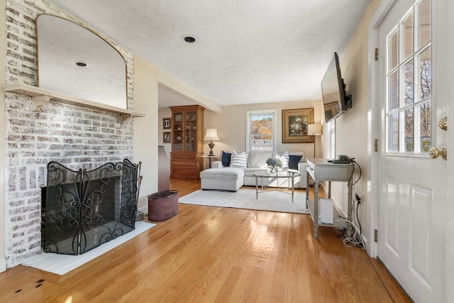 living room featuring wood-type flooring and a fireplace