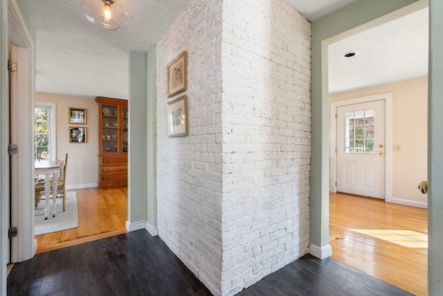 hall with brick wall, plenty of natural light, and dark hardwood / wood-style floors