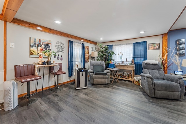 living room featuring dark hardwood / wood-style flooring