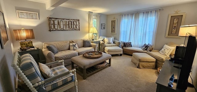 view of carpeted living room