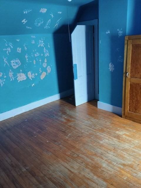 interior space with hardwood / wood-style floors and lofted ceiling