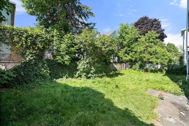 25-27 Morrow Rd, Boston, MA 02135 - view of yard