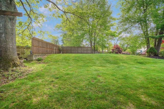 998 Wood, Swansea, MA 02777 - view of yard