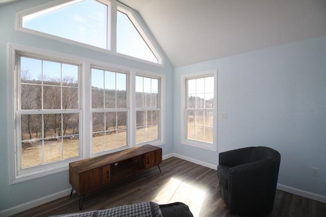 sitting room featuring baseboards, lofted ceiling, and wood finished floors