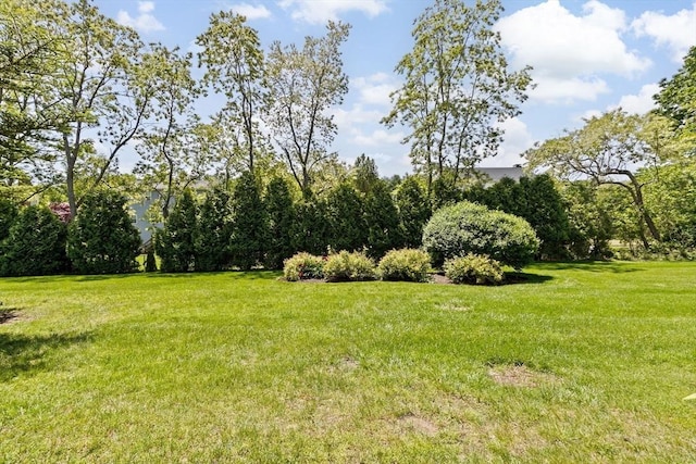 46 Michael Rd Unit 46, Bridgewater, MA 02324 - view of green lawn