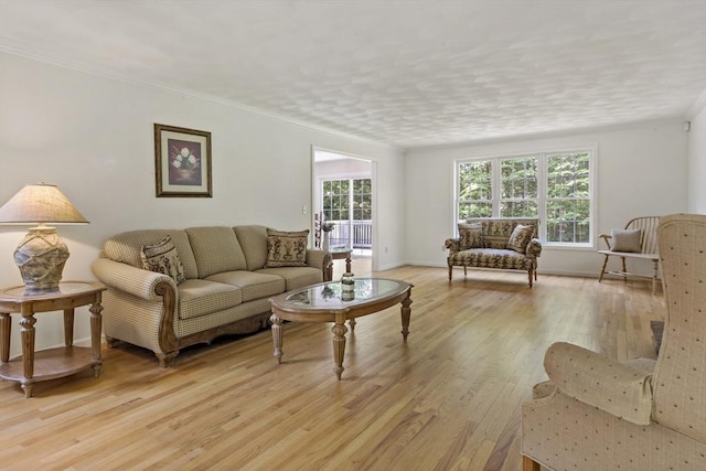 22 Mikayla Ann Dr, Rehoboth, MA 02769 - living room featuring light wood-type flooring, baseboards, and crown molding
