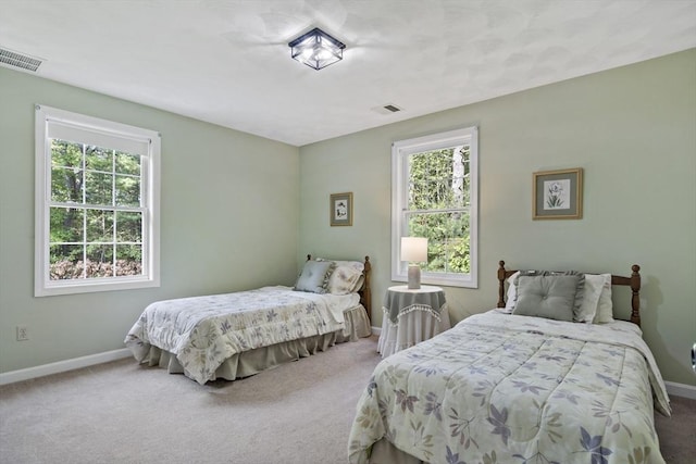 22 Mikayla Ann Dr, Rehoboth, MA 02769 - bedroom with multiple windows, baseboards, and carpet