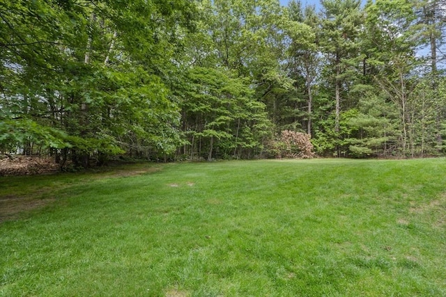 22 Mikayla Ann Dr, Rehoboth, MA 02769 - view of grassy yard