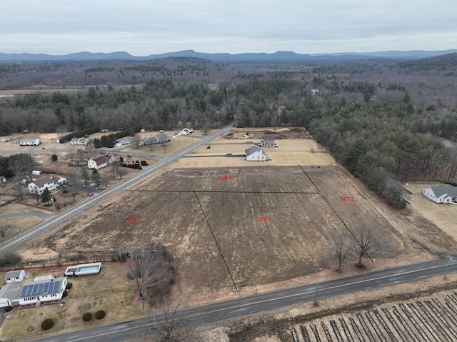 birds eye view of property featuring a mountain view