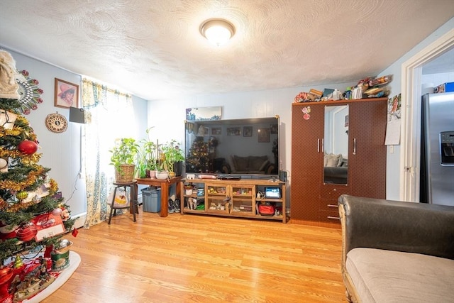 living room with light hardwood / wood-style floors and a textured ceiling