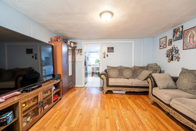 living room with a textured ceiling and light hardwood / wood-style flooring