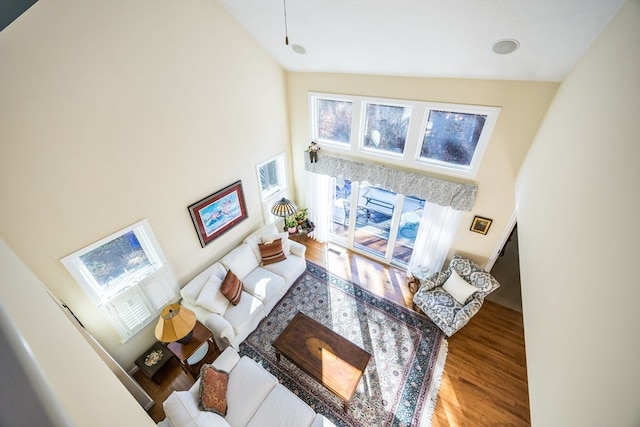 living room featuring high vaulted ceiling and wood-type flooring