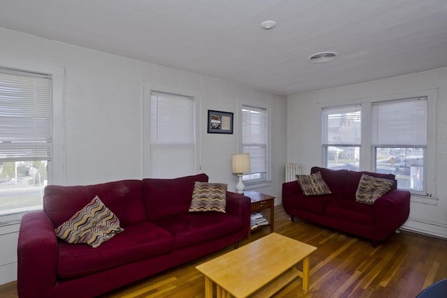 living area with radiator, a healthy amount of sunlight, and wood finished floors