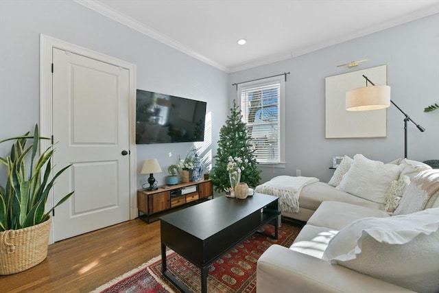 living room featuring crown molding and dark hardwood / wood-style flooring