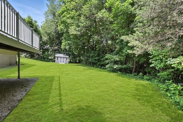 59 Searle Rd, South Hadley, MA 01075 - view of grassy yard with a storage shed