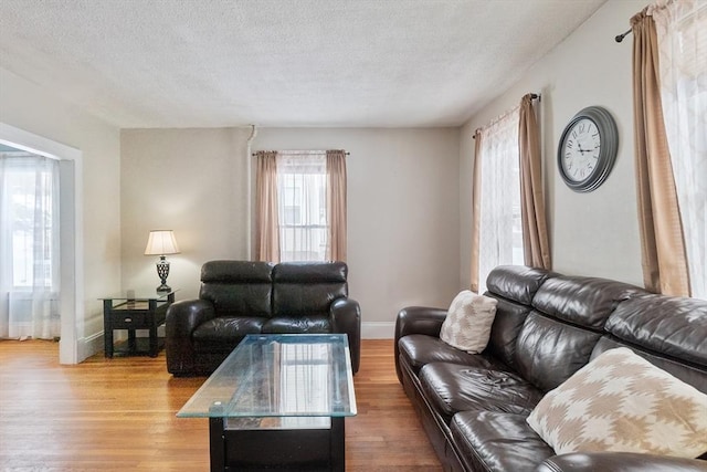 living room featuring hardwood / wood-style floors and a textured ceiling