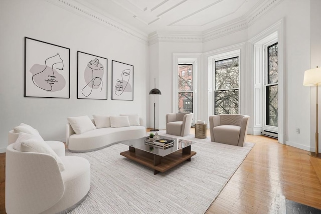 living area featuring ornamental molding, baseboards, and light wood-type flooring