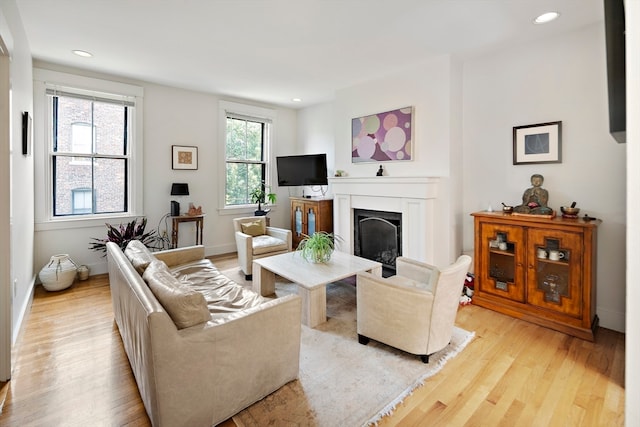 living room with light hardwood / wood-style floors