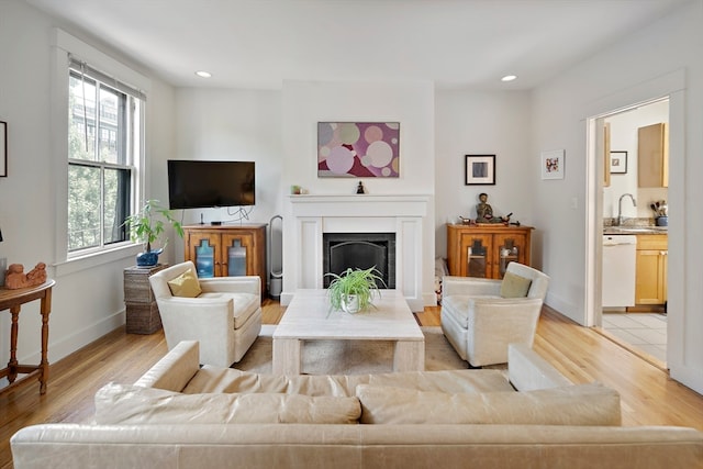 living room featuring light hardwood / wood-style flooring and sink