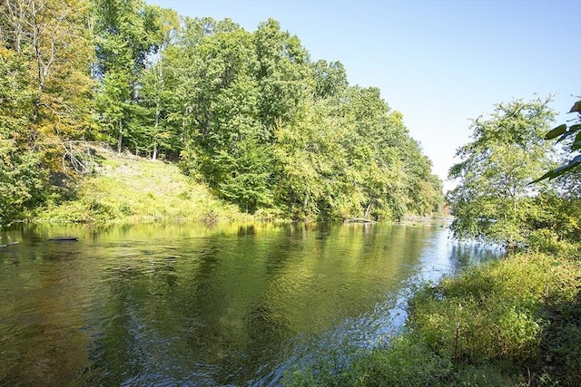 property view of water featuring a view of trees