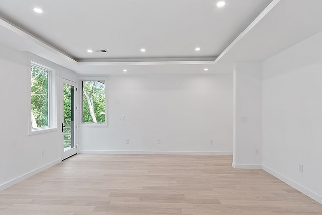 spare room featuring a tray ceiling, plenty of natural light, and light hardwood / wood-style floors