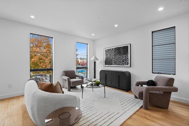 living room featuring light hardwood / wood-style floors