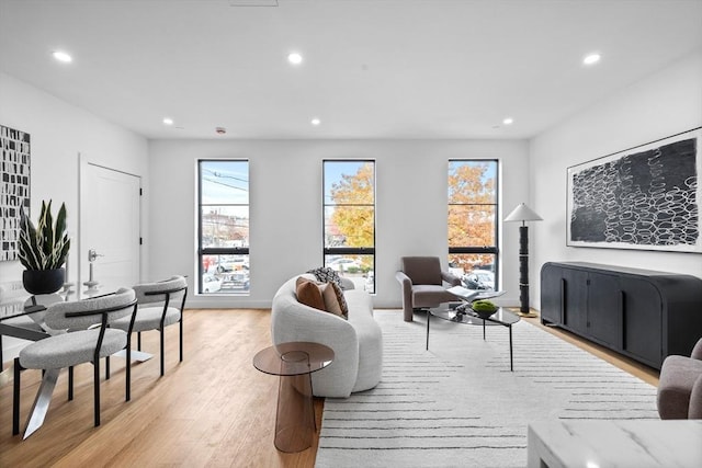 living room featuring light hardwood / wood-style flooring