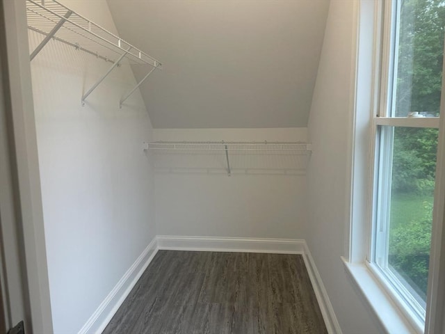15 Forest St, Whitman, MA 02382 - walk in closet featuring dark wood-style floors and vaulted ceiling