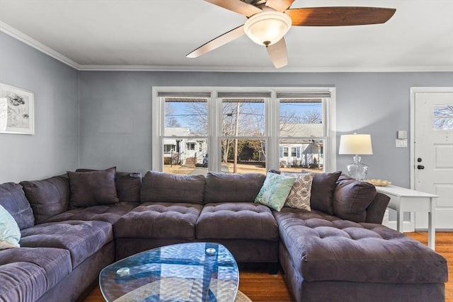 living room featuring plenty of natural light, ornamental molding, ceiling fan, and wood finished floors