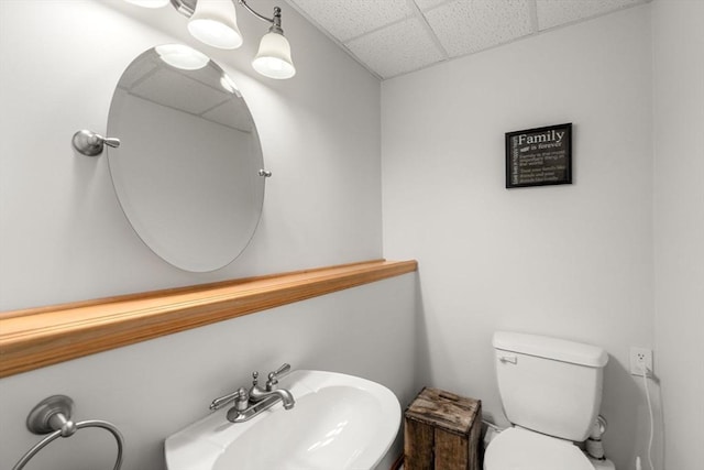 bathroom featuring a sink, a drop ceiling, and toilet