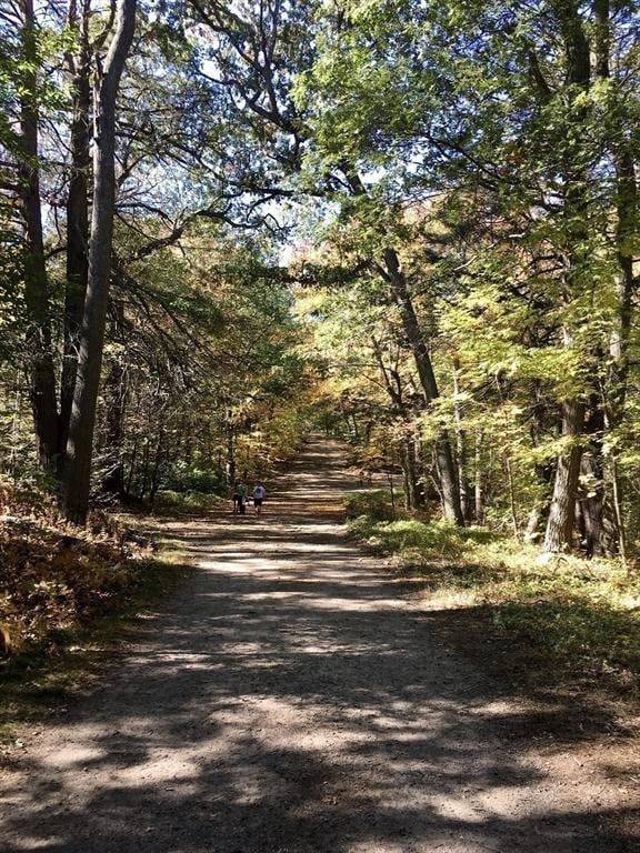 49 Munroe St Unit 405, Lynn, MA 01901 - view of road with a forest view