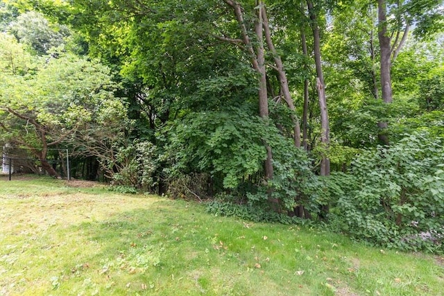 49 Whitman St, Weymouth, MA 02189 - view of green lawn with a wooded view