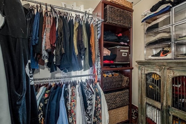 76 Colburn St Unit 76, Dedham, MA 02026 - view of walk in closet