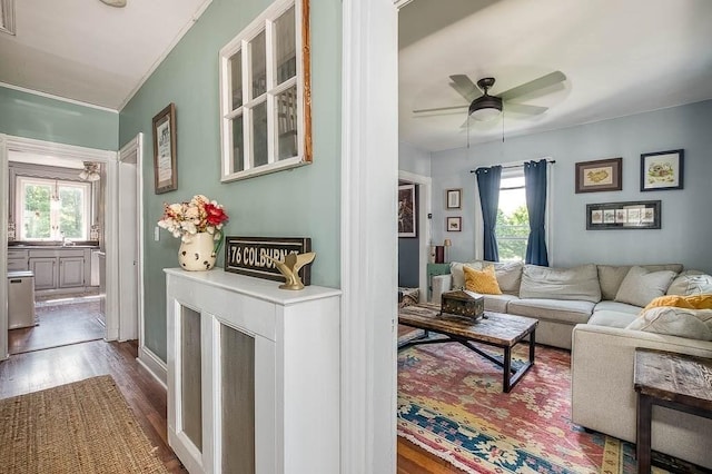 76 Colburn St Unit 76, Dedham, MA 02026 - living room featuring dark wood-style floors, plenty of natural light, ceiling fan, and crown molding
