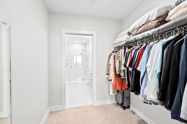walk in closet with carpet flooring