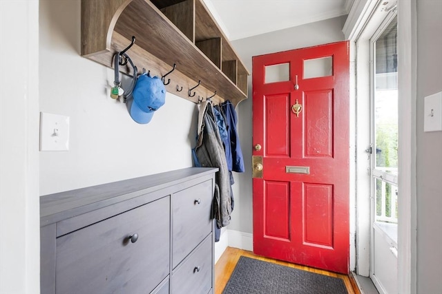 72 Edgecliff Rd Unit 72, Watertown, MA 02472 - mudroom with light wood-style flooring and baseboards