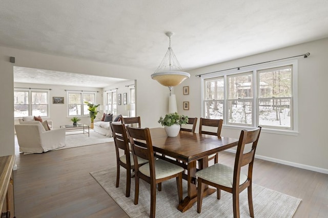 dining room with baseboards and wood finished floors