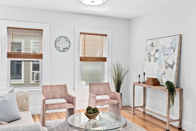 sitting room featuring hardwood / wood-style floors