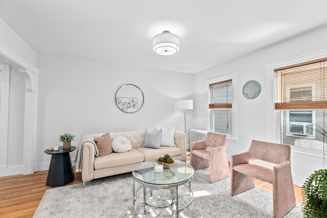 living room featuring wood-type flooring