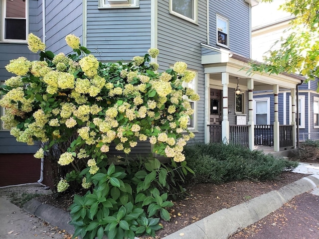 entrance to property featuring a porch