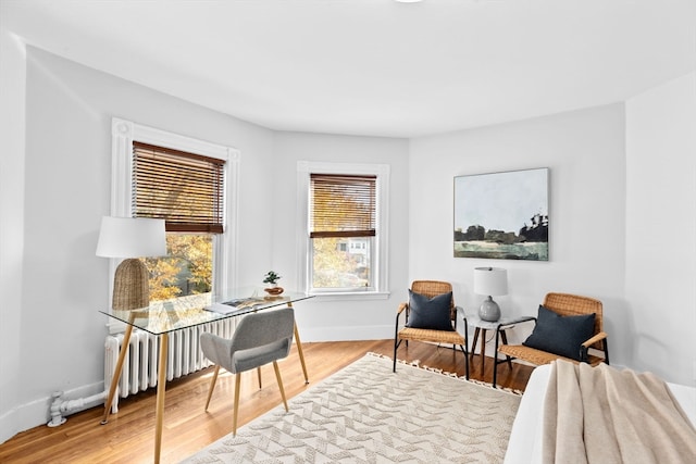 sitting room with hardwood / wood-style flooring