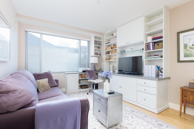 living room featuring light hardwood / wood-style flooring