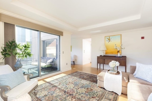 living room with a raised ceiling and light wood-type flooring