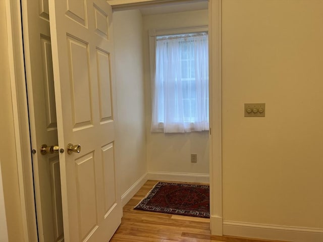 entryway featuring wood-type flooring and plenty of natural light