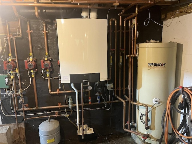 utilities featuring tankless water heater and gas water heater