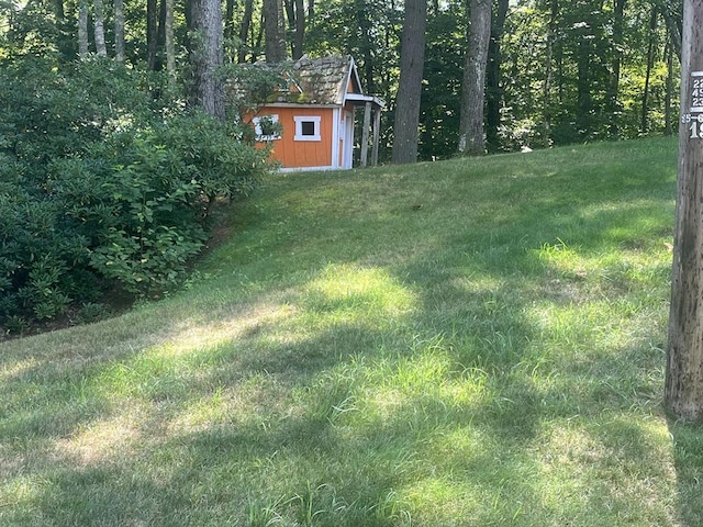 view of yard featuring a storage shed